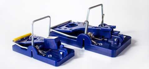 LoRaWAN Pest Control: Exploring the Benefits of LoRaWAN for Mouse Traps